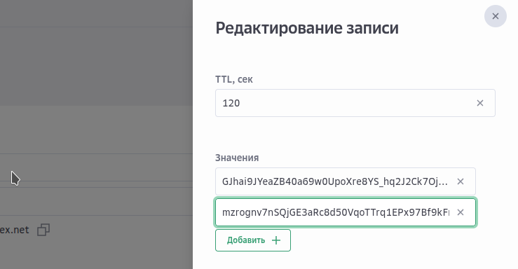 Добавление DNS-записей в Cloud.ru